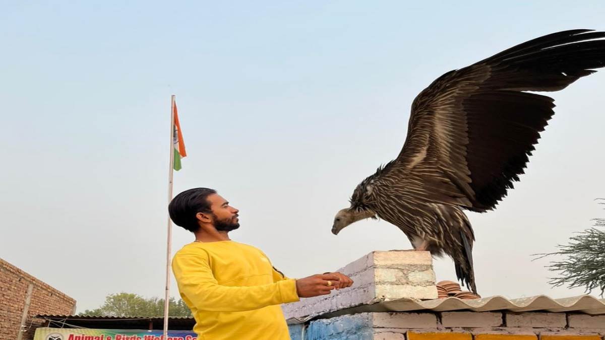 https://www.jagranimages.com/images/newimg/10112022/10_11_2022-eagle_23194530.jpg