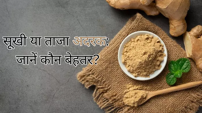 सूखी या ताजा अदरक, जानें सेहत के लिए कौन ज्यादा फायदेमंद