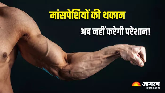 मांसपेशियों की कमजोरी दूर करने के लिए रोजाना करें इन 3 Oils का इस्तेमाल (Image Source: Freepik)
