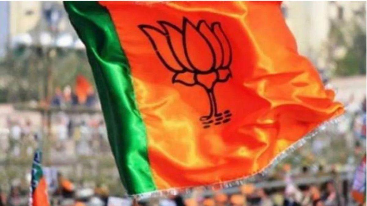 bjp leader anis ansari resign after obscene recording went viral in bareilly