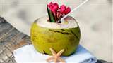 Coconut Water Benefits: नारियल पानी पीने से मिलते हैं कई फायदे