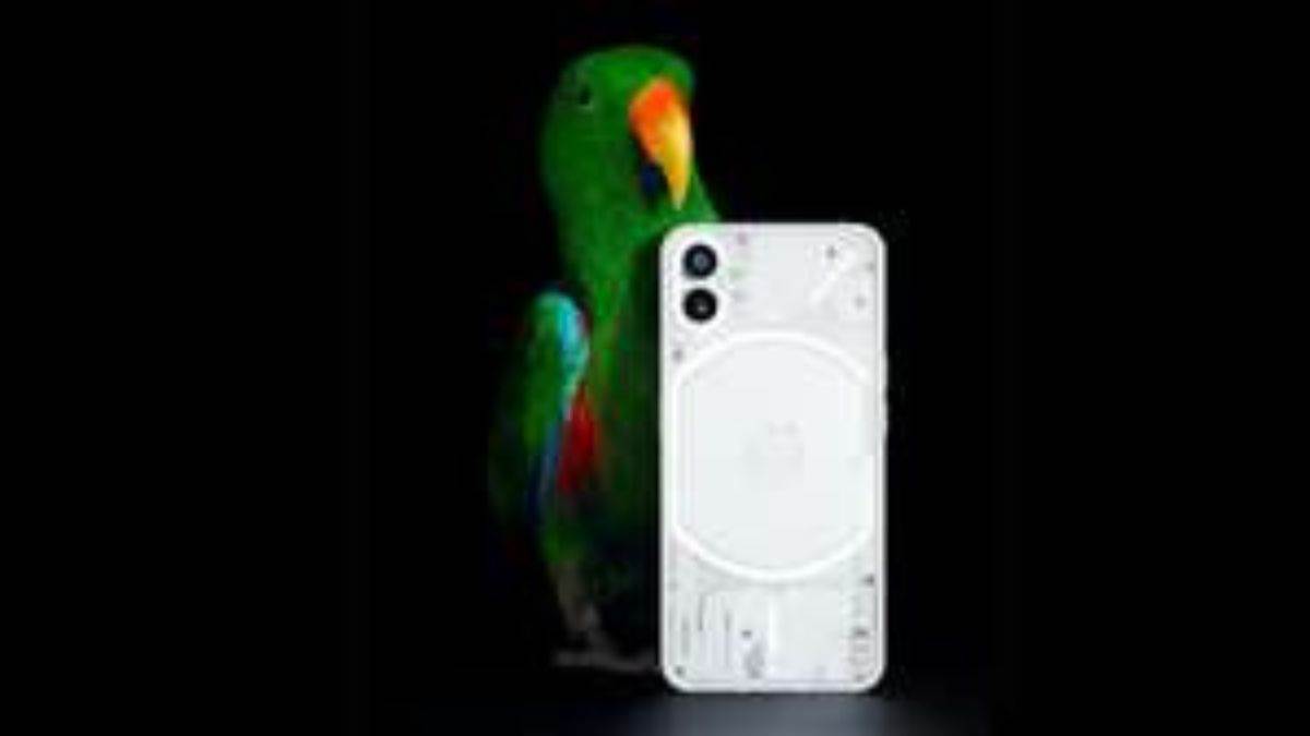 News Article Hero Image