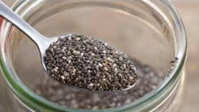 Chia Seeds Recipes: खाने में चिया सीड्स को इन तरीकों से करें शामिल