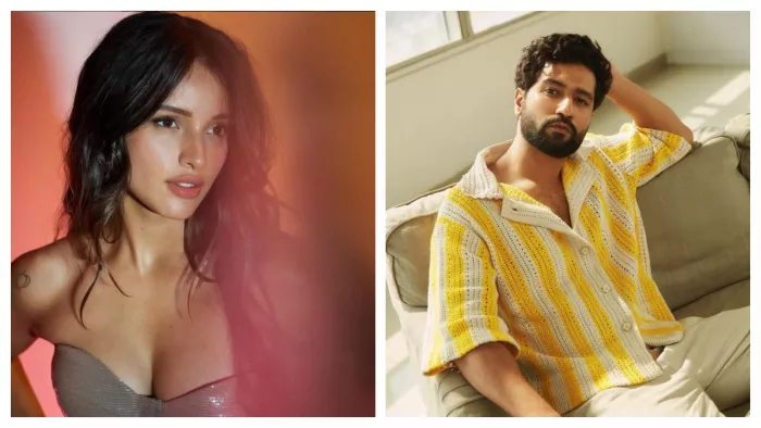 File Photo of Tripti Dimri and Vicky Kaushal