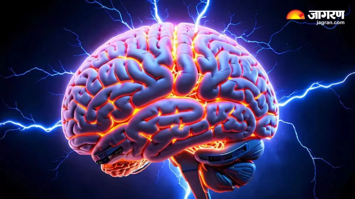 न्यूरॉन्स की गतिविधि से पकड़ में आएगी दिमाग की बीमारी, AI से होगी ब्रेन की स्टडी