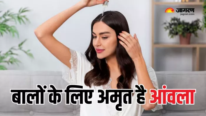 बालों को लंबा, घना और काला बनाता है आंवला (Picture Courtesy: Freepik)
