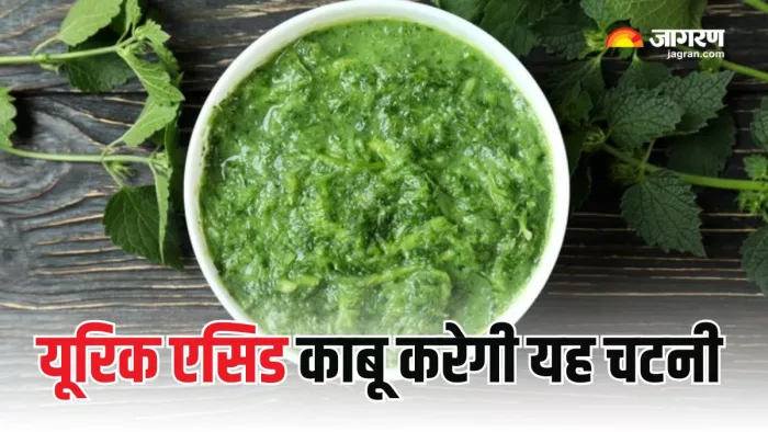 Uric Acid कंट्रोल करने में असरदार है यह खास चटनी (Picture Courtesy: Freepik)