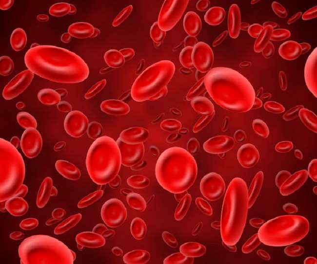 https://www.jagranimages.com/images/newimg/11012022/11_01_2022-red-blood-cells_22373206.jpg