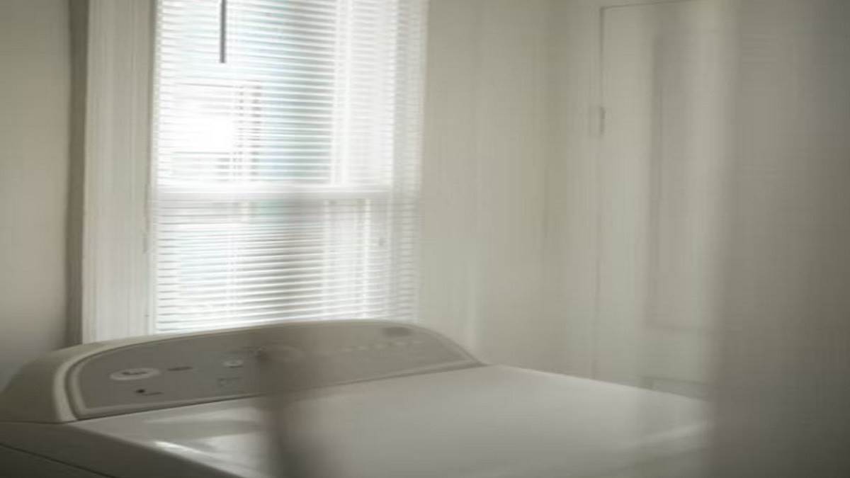 Top Load Washing Machine Dryers Cover Image Source: Unsplash