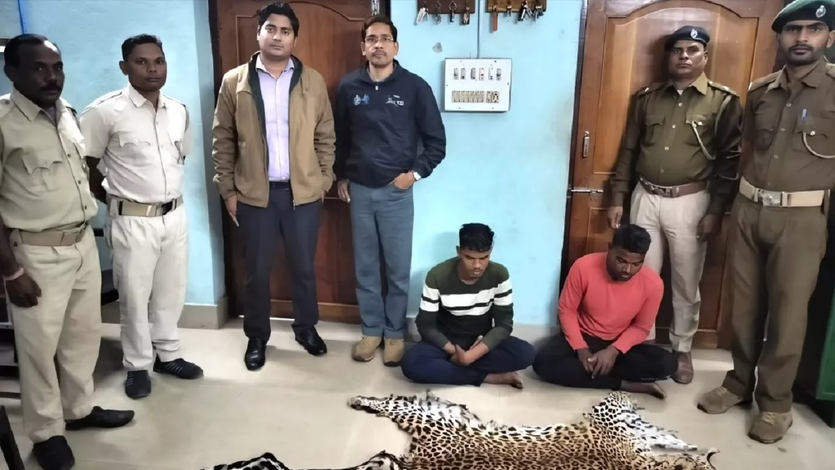 संबलपुर: तेंदुआ खाल की तस्करी में दो गिरफ्तार, खुफिया सूचना पर वन विभाग ने की कार्रवाई; खाल बेचने की फिराक में थे आरोपित