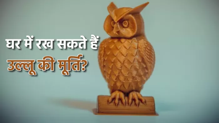 घर में उल्लू की मूर्ति रखने से मिलते हैं ये परिणाम।