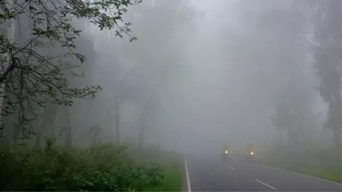 मौसम विभाग ने घने कोहरे को लेकर जारी किया यलो अलर्ट