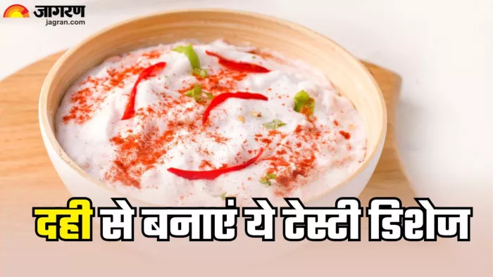 दही से बनाएं ये स्वादिष्ट डिशेज (Picture Credit- Freepik)