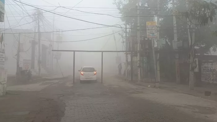 Haryana Weather: कोहरे की चपेट में हरियाणा, वाहनों की थमी रफ्तार। जागरण फोटो