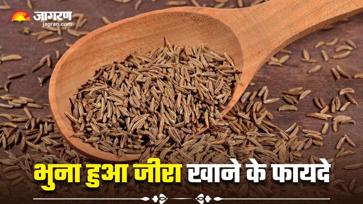 roasted cumin health benefits eat a spoonful of roasted cumin daily and many health problems will vanish