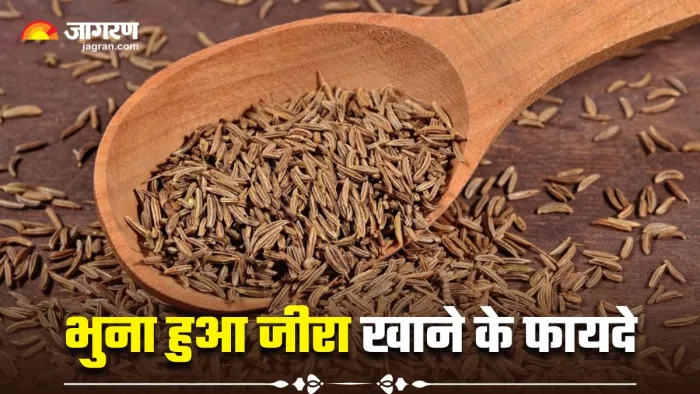 Roasted Cumin Health Benefits: रोजाना भुना हुआ जीरा खाने से दूर होंगी कई समस्याएं (Image Source: Freepik)