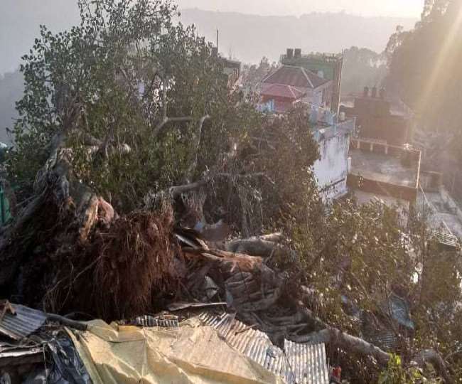 banyan tree fell near baba balaknath temple in deotsidh and six shops were hit
