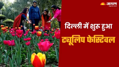 tulip festival takes place at shanti path chanakyapuri new delhi will continue till 21st february 2024 know all details