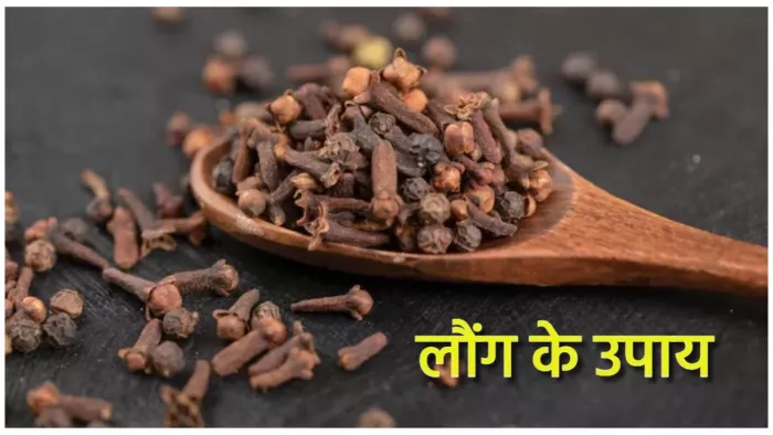 Laung Ke Upay: लौंग के इन उपायों से आर्थिक तंगी से मिलेगी मुक्ति, नजर दोष होगा समाप्त