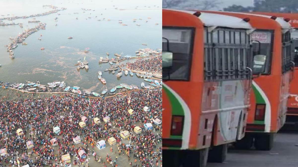 News Article Hero Image