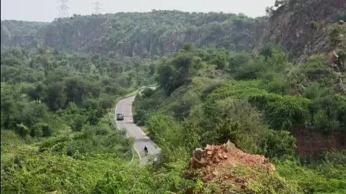 चतरा में रेंजर ने जंगल की 2 एकड़ जमीन पत्नी के नाम कराई (सांकेतिक तस्वीर)