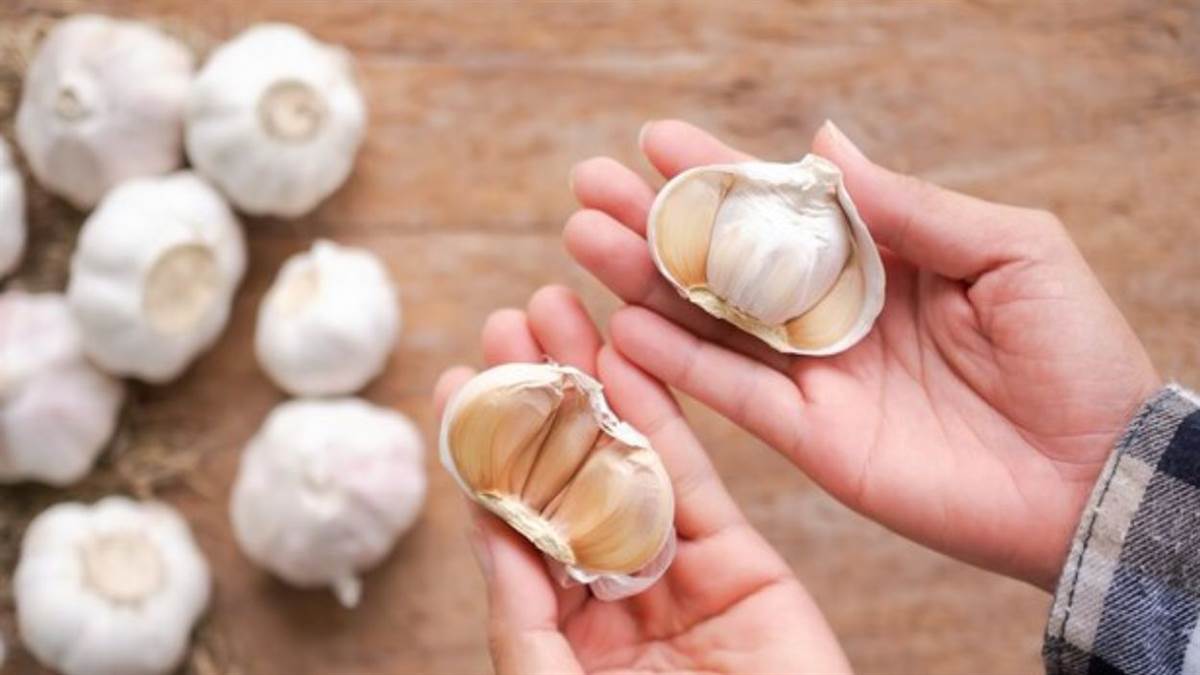 https://www.jagranimages.com/images/newimg/11022025/11_02_2025-garlic_23881870.jpg