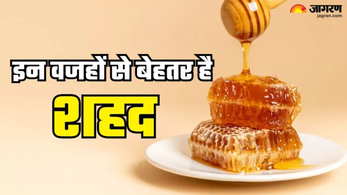 चीनी से बेहतर क्यों है शहद (Picture Credit- Freepik)