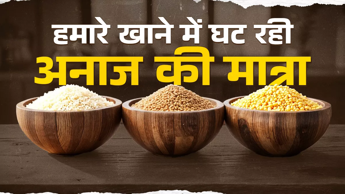 शहरों में 3 दशक में अनाज पर खर्च 14% से घटकर 3.8% पर आया, प्रोसेस्ड फूड पर खर्च का हिस्सा 7.2% से 11.1% हुआ