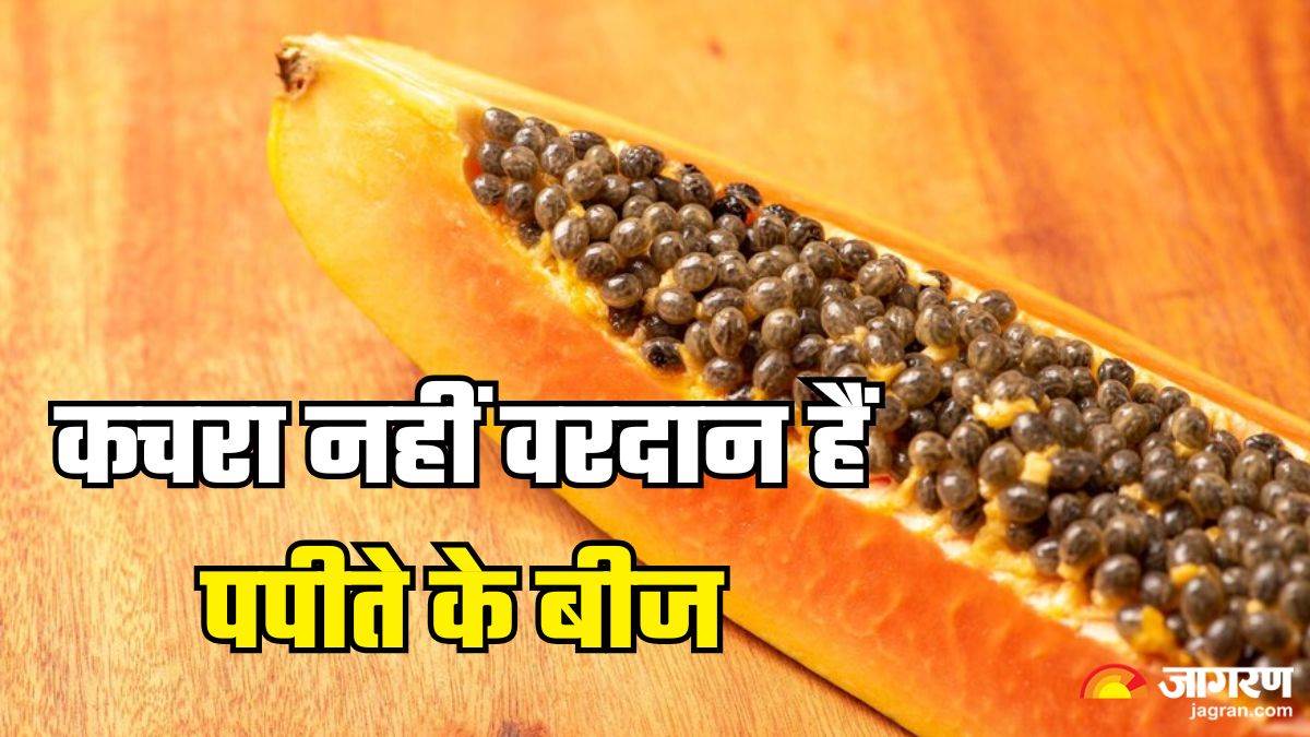 https://www.jagranimages.com/images/newimg/11022025/11_02_2025-papaya_seeds_1_23882461_191914257.jpg
