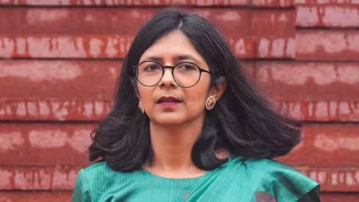 स्वाति मालीवाल ने आम आदमी पार्टी पर निशाना साधा है। फाइल फोटो