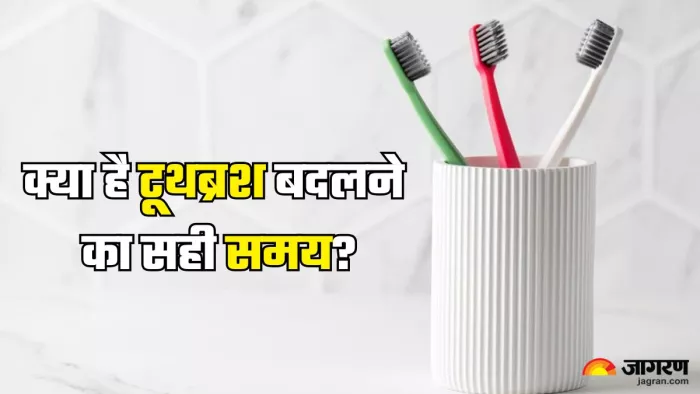 कब-कब बदल लेना चाहिए टूथब्रश (Picture Credit- Freepik)