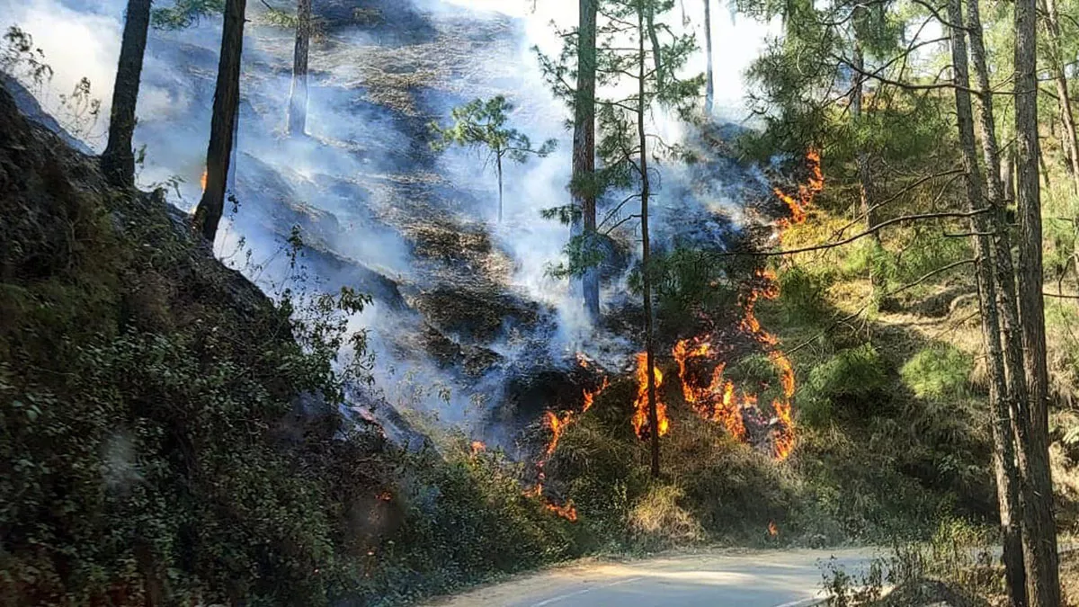 Forest Fire: उत्तराखंड में शुष्क मौसम ने बढ़ाई बेचैनी, जंगलों में बढ़ा आग का खतरा; अब तक 110 हेक्टेयर वन खाक