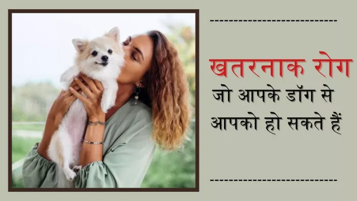 पेट डॉग के साथ खेलते समय बरते सावधानियां