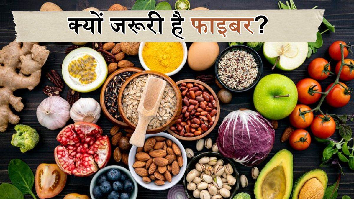 https://www.jagranimages.com/images/newimg/11032024/11_03_2024-fibre_benefits_23672147.jpg
