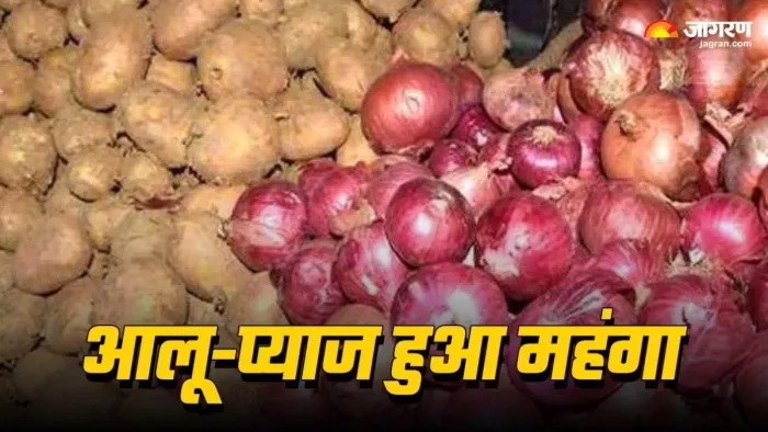 चालू सीजन में प्याज का उत्पादन 254 लाख टन रह सकता है!