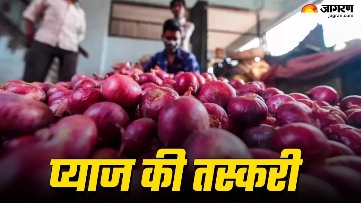 नेपाल सीमा पर धड़ल्‍ले से हो रही भारतीय प्‍याज की तस्‍करी, बार्डर पार करते दोगुना हो जा रहा दाम