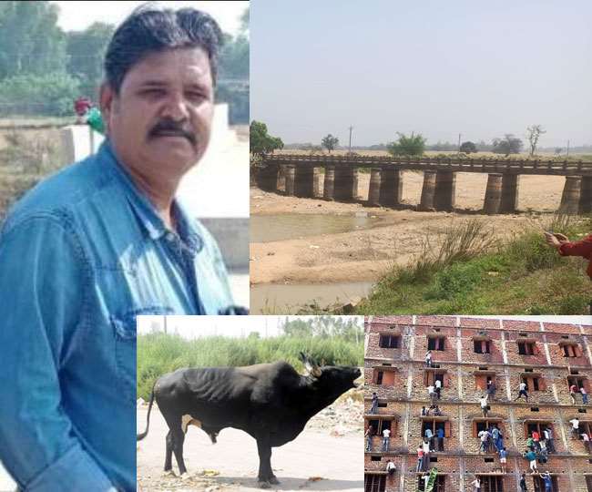 बिहार में पुल की चोरी, स्कूटर पर सांड की ढुलाई व परीक्षा में नकल की फाइल तस्वीरें।