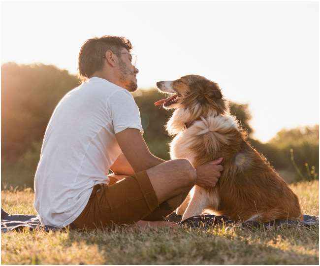 https://www.jagranimages.com/images/newimg/11042022/11_04_2022-national-pet-day-2022_22617762.jpg