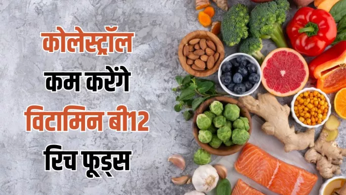 हाई कोलेस्ट्रॉल को कंट्रोल करेंगे ये विटामिन बी12 रिच फूड्स