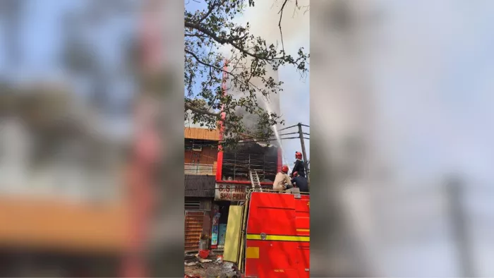 Delhi Fire News: किराना स्टोर व ट्रक में लगी आग। फाइल फोटो