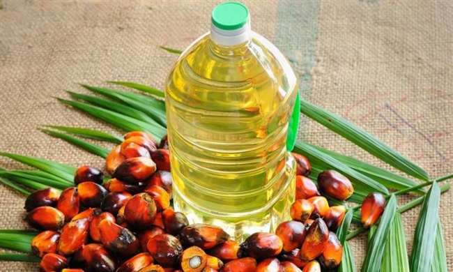 SEA ने सरकार से की रिफाइंड Palm Oil पर प्रतिबंध लगाने की मांग, खाद्य तेल के लिए राष्ट्रीय मिशन का दिया सुझाव