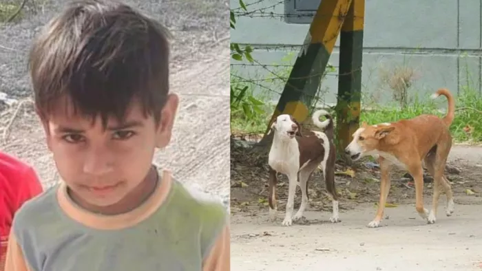 बच्चे की मौत से घर में कोहराम मचा हुआ है। जागरण