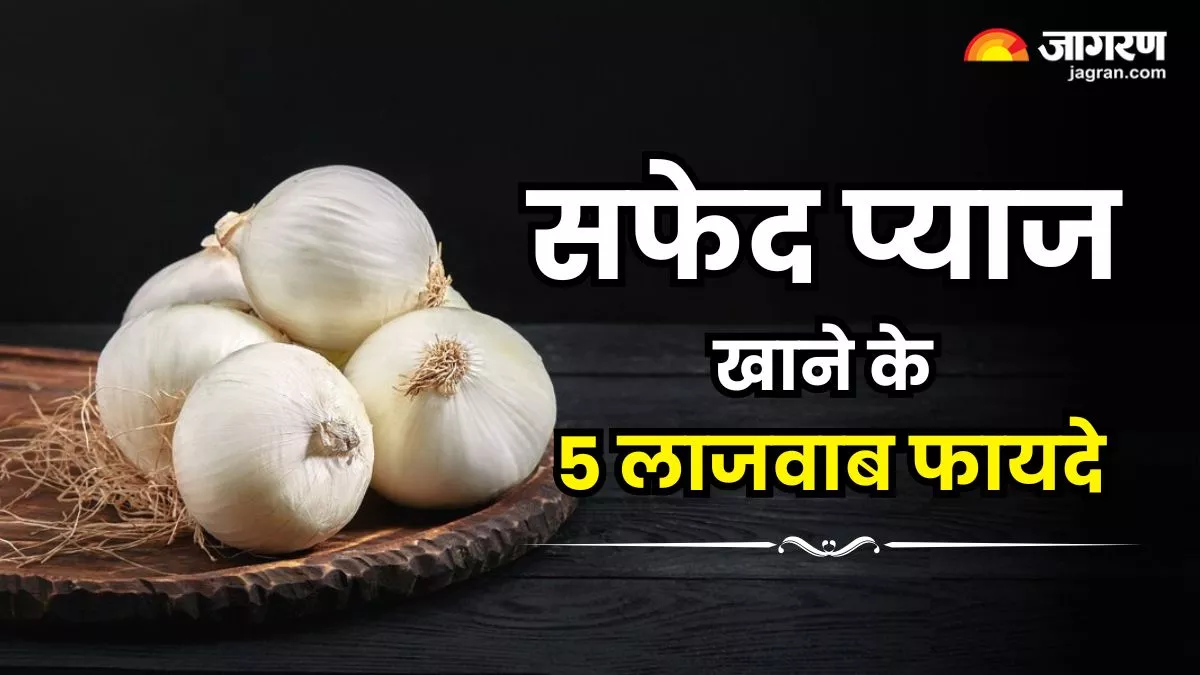 White Onion: पाचन से लेकर हार्ट तक के लिए फायदेमंद है सफेद प्याज, गर्मियों में खाने से मिलेंगे ये 5 गजब फायदे