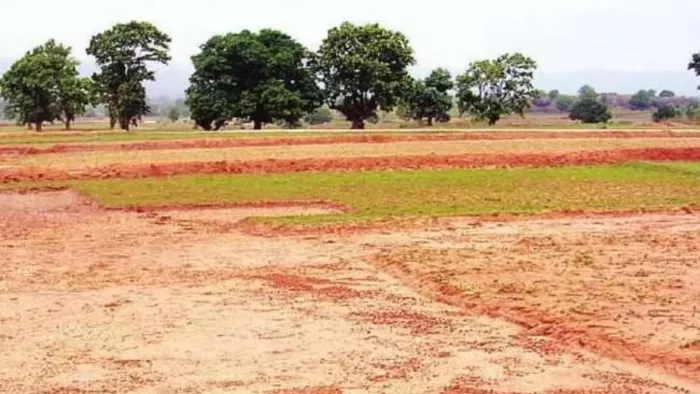 भूमाफिया सरकारी जमीन को निजी बनाकर कर रहे कब्जा