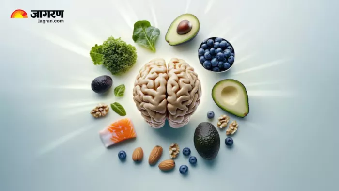 Brain Boosting Superfoods: काजू और बादाम से कहीं ज्यादा फायदेमंद हैं 5 सुपरफूड्स (Image Source: Freepik)