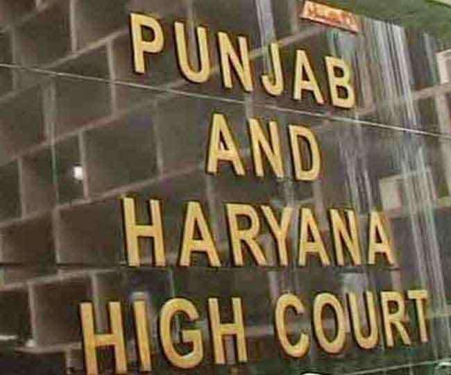 पंजाब एवं हरियाणा हाई कोर्ट की फाइल फोटो।