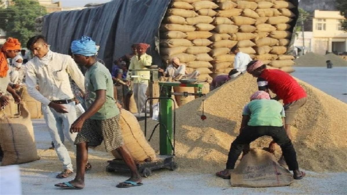 buy food grains only from small and marginal farmers suggests cacp