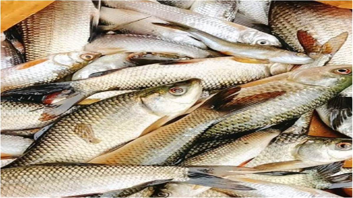 News Article Hero Image