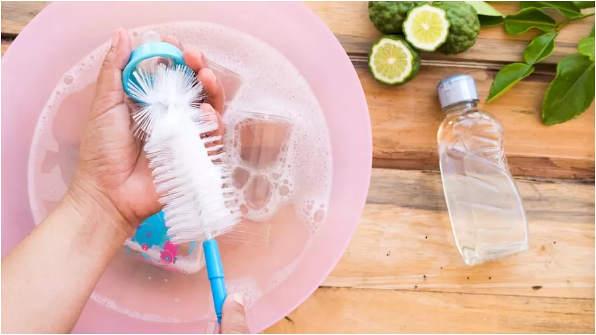 Bottle Cleaning Tips: पानी की बोतलों में जम गई है गंदगी, तो इन टिप्स की मदद से करें साफ