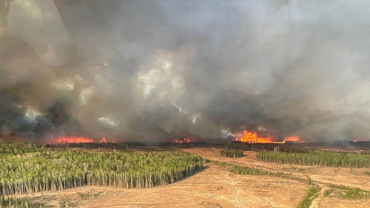 https://www.jagranimages.com/images/newimg/11062023/11_06_2023-canada_forest_fire_news_23437547_84554403.jpg